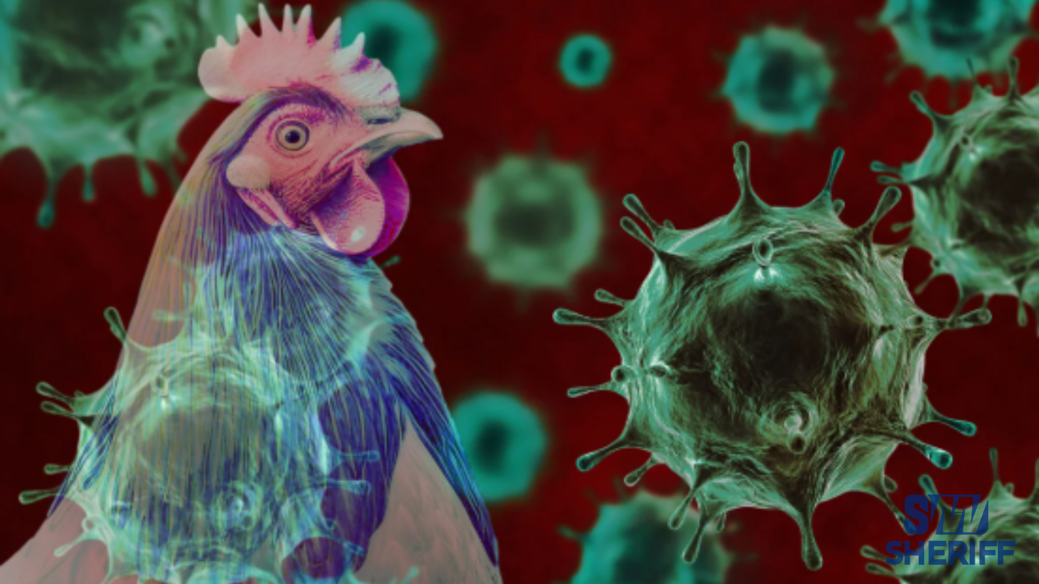 Bird flu confirmed on poultry farm in Brazil, sparking trade bans
