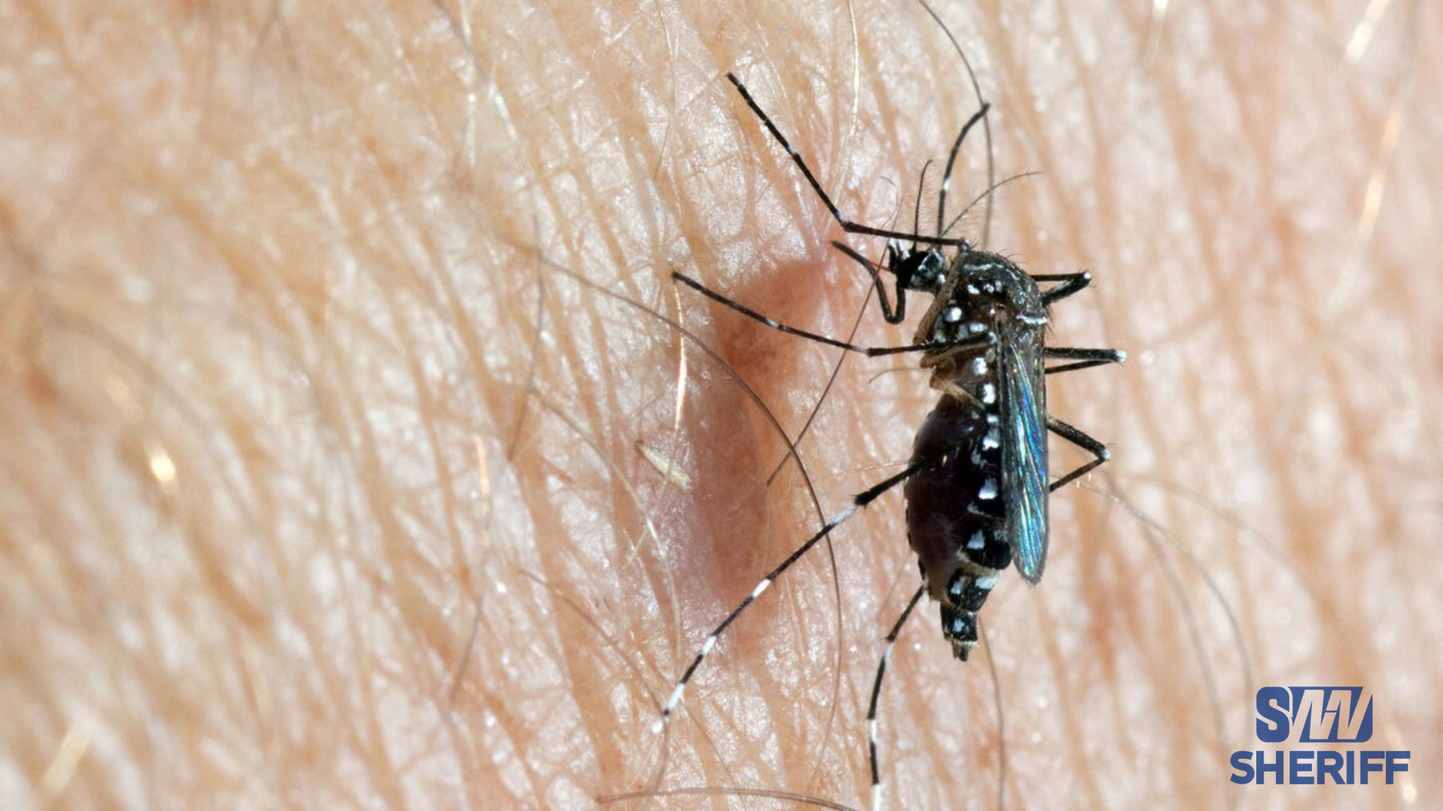 Region Six gets over 4,000 dengue test kits amid rising cases