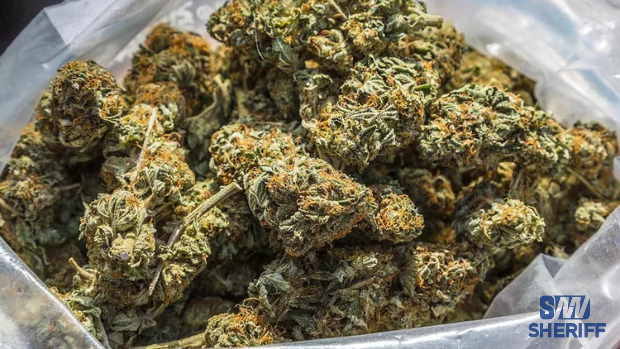 President Ali urges regional action as marijuana imports from North America rise