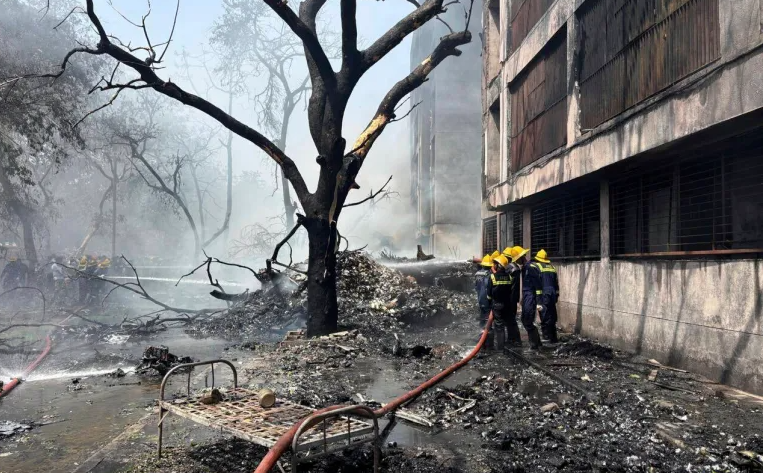 No survivors as plane with 242 on board crashes in India after takeoff