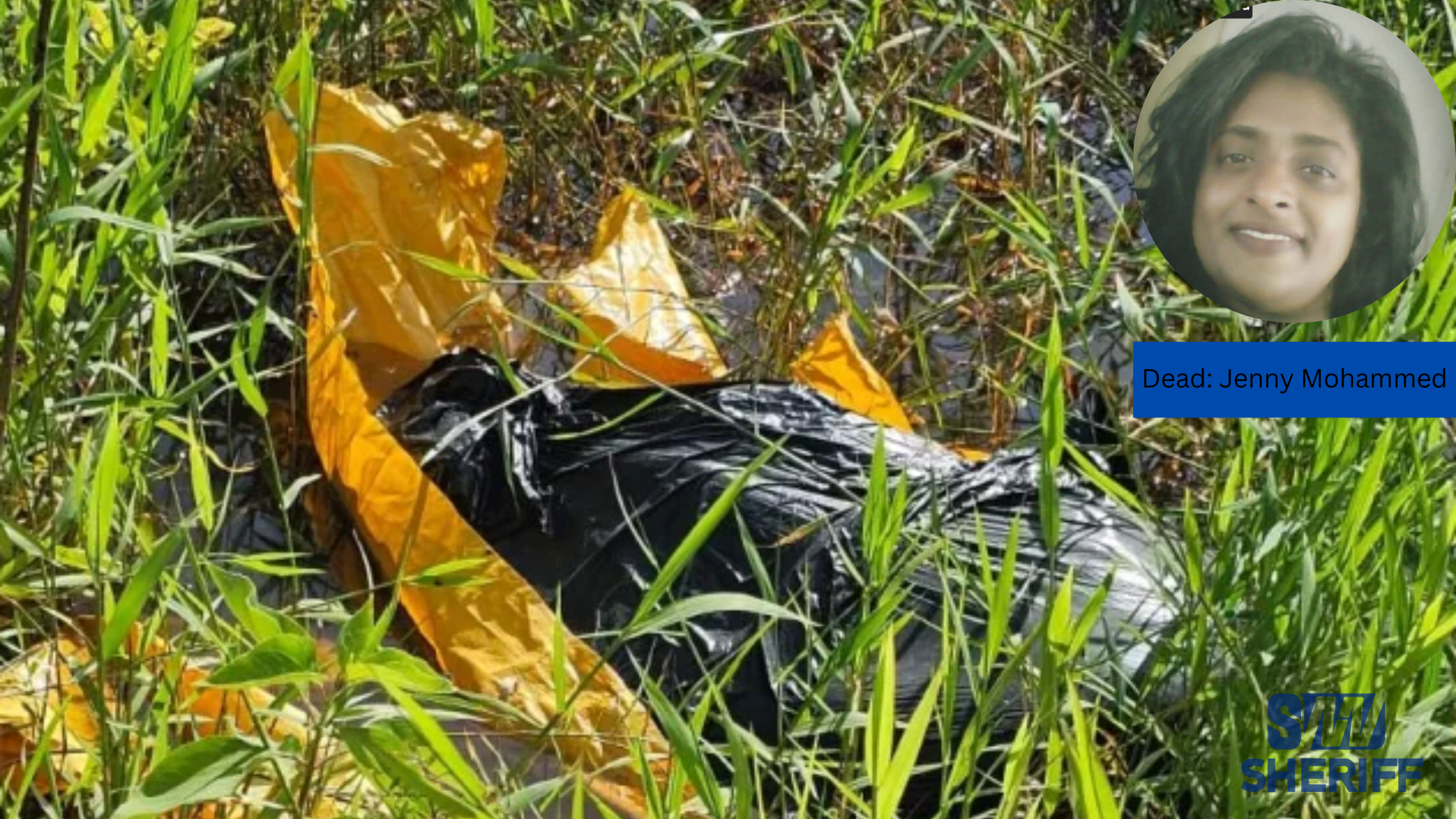 Daughter, son-in-law & husband confess to murder of missing Non-Pareil woman