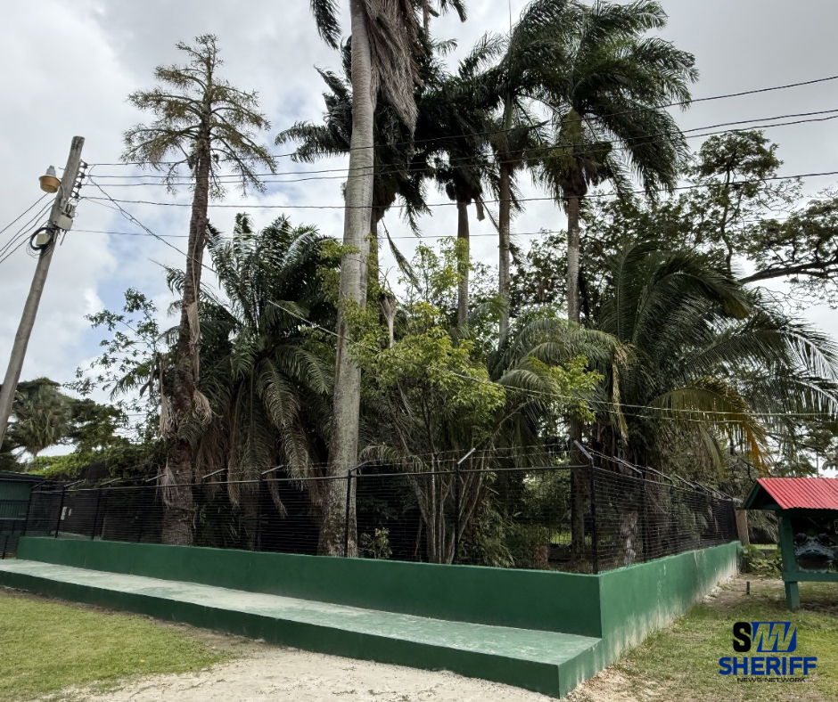 MODEC partners with Protected Areas Commission in Zoo rehabilitation efforts