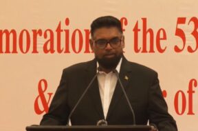 WhatsApp Image 2025-06-06 at 14.48.02