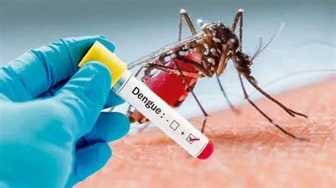 Region Two health officials step up dengue prevention efforts