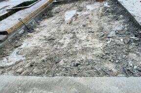 WhatsApp Image 2025-06-26 at 10.18.43