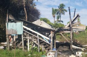 WhatsApp Image 2025-06-26 at 11.31.38