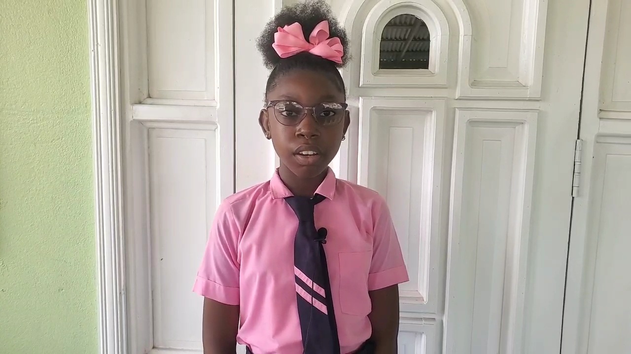 Aspiring doctor tops Region Five at NGSA