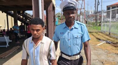 WhatsApp Image 2025-07-01 at 15.16.46