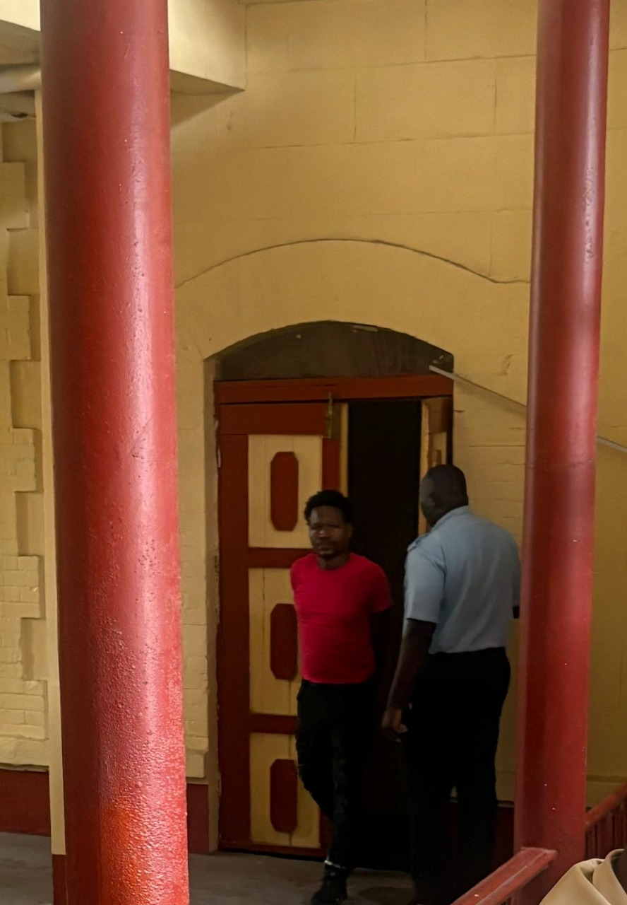 Lodge man remanded for dangerous driving, fined $140,000 for other charges