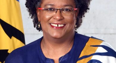 WhatsApp Image 2025-07-08 at 16.22.08