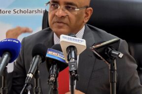 539588831_1194511802484595_5402520699069287639_n