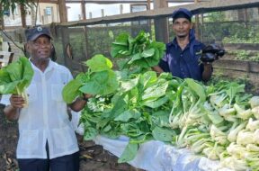 546411424_1204628138139628_4852294646438509772_n