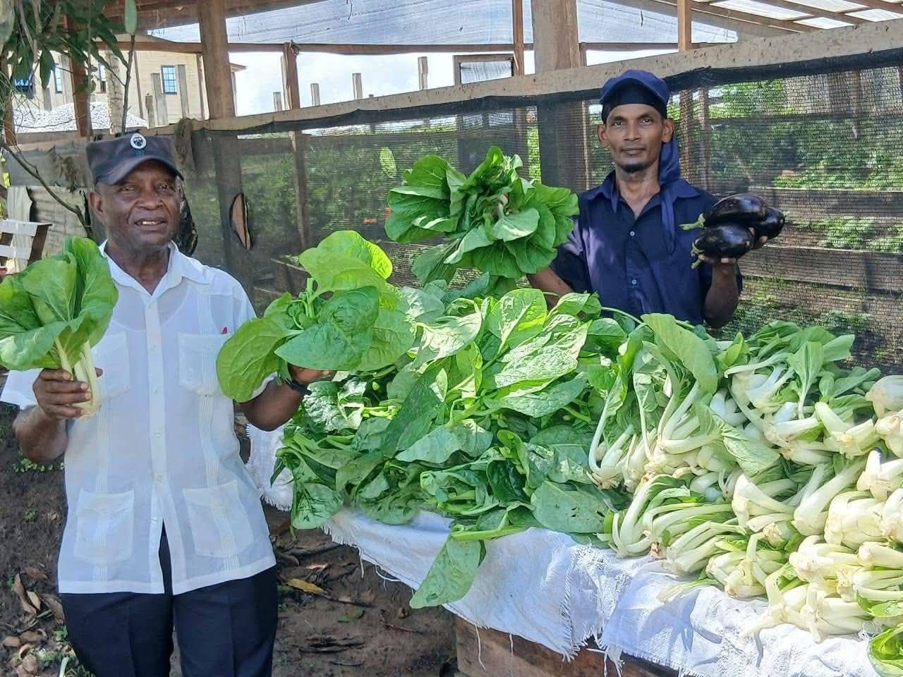 Grow More Campaign in full swing