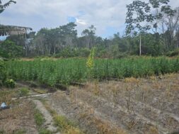 547274784_1204330134836095_190759407939030489_n