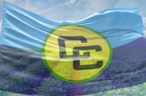 549013515_1210607890874986_1595996307170668276_n