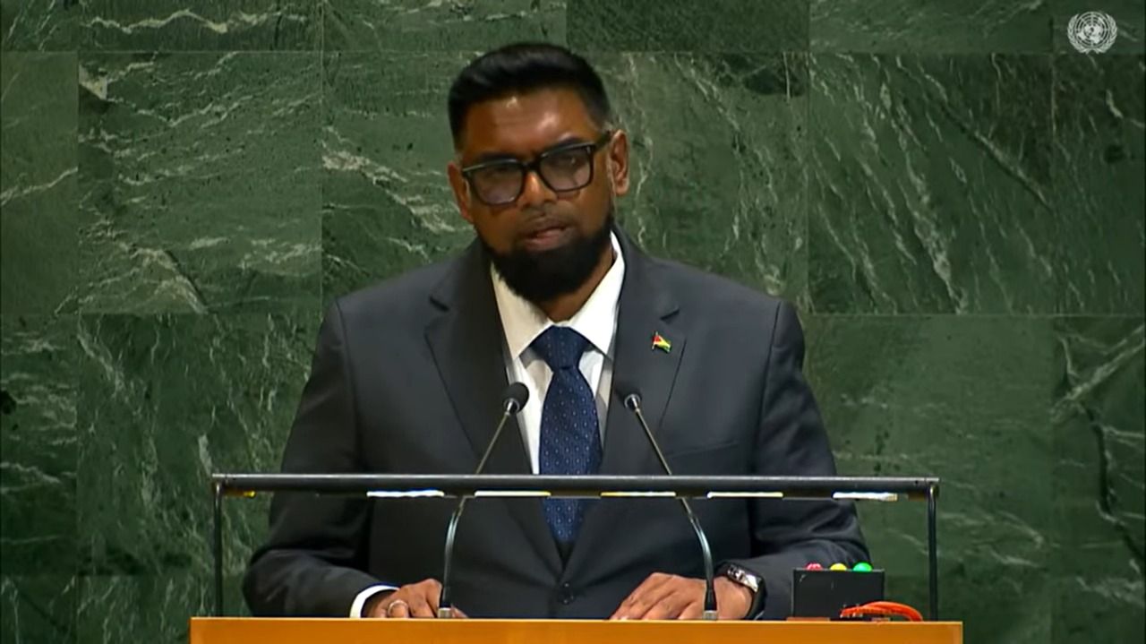 Ali tells UN genocide unfolding in Palestine, urges urgent action