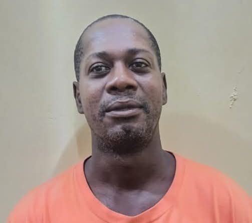 Essequibo Labourer Granted $50,000 Bail on Simple Larceny Charge