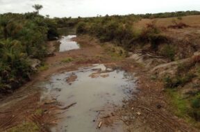 557609115_1219862796616162_4561706681770280933_n