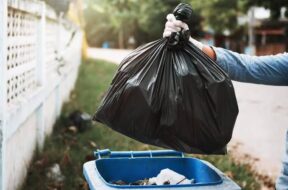 557734459_1220861046516337_5614469009129421808_n