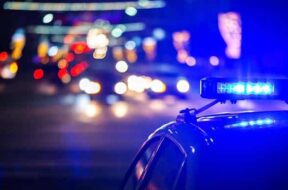 556261067_1221709566431485_4043365532534504756_n