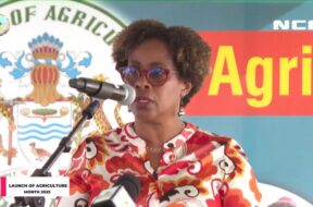 556828967_1222362546366187_9088882765890027634_n