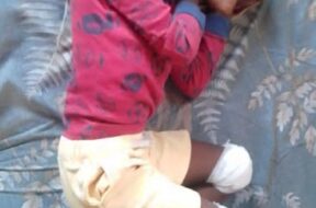 556836177_1221083229827452_8216563311843038694_n