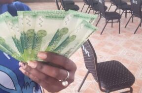 559306018_1228692805733161_2738323731140714856_n