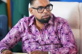 559392038_1232300485372393_3705430180781810808_n