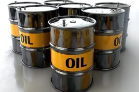 559712570_1232641812004927_1608429374715966146_n