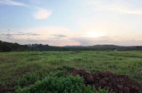 561768676_1232528785349563_7272423437339811894_n