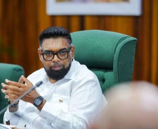 Two major gold mines to resume production by 2027 – President Ali