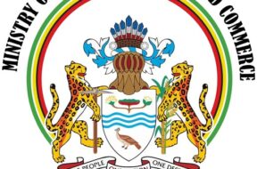 569217707_1240185104583931_1932331816708451842_n