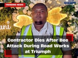 569726770_1240313767904398_6469370197534301026_n