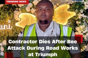 569726770_1240313767904398_6469370197534301026_n