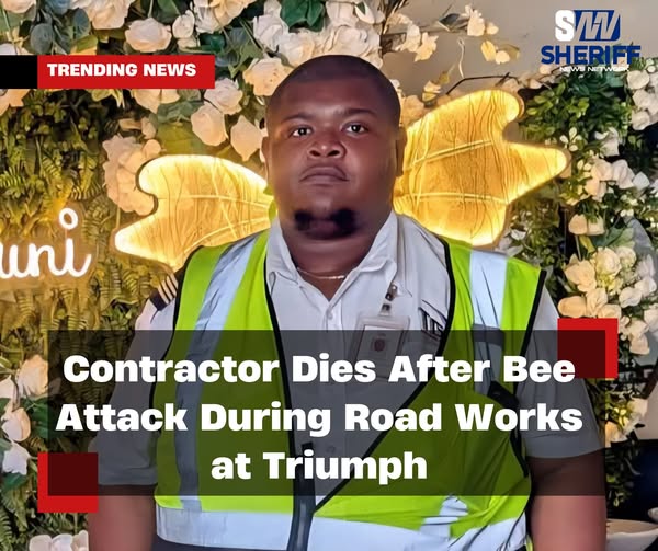 Contractor Dies After Bee Attack During Road Works at Triumph