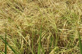 571125150_1241538054448636_8575930693510990975_n