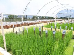 571155381_1240261644576277_1707725380070246070_n