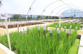 571155381_1240261644576277_1707725380070246070_n