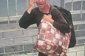 574560583_1249961256939649_6120762948691853622_n