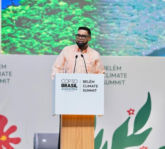 President Ali calls for faster Global Climate Action at COP in Brazil
