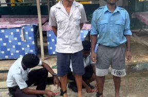 581938983_1257382939530814_7252791241520105760_n