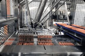 583929476_1262093869059721_3197490480765932414_n