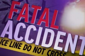 584301950_1261306462471795_63257705489568163_n