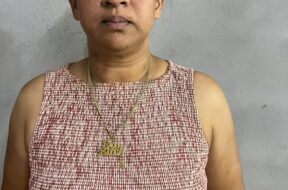 586172866_1263366972265744_928341210209405197_n