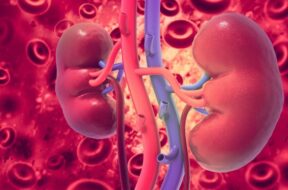 586268064_1264364845499290_3528604878218667378_n