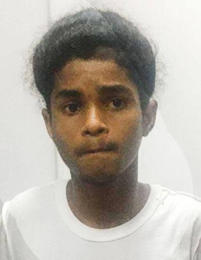 ‘Terror’ gets 15 years for fatal stabbing of Riverview man