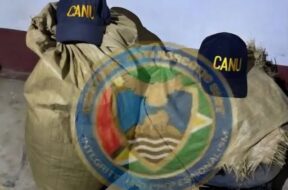 591429897_1269288781673563_8059040993525370653_n