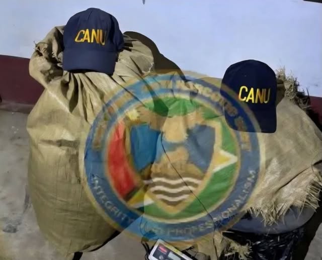 CANU Seizes Cocaine and 30kg of Cannabis in Corentyne Operation