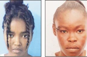 FB_IMG_1763669849389