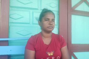 FB_IMG_1764165695703